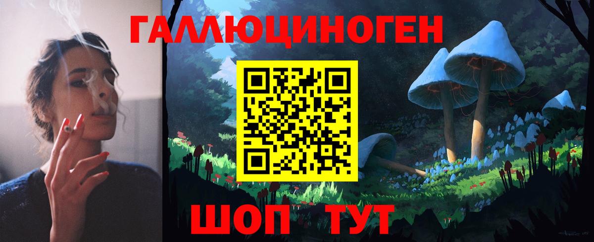 Псилоцибиновые грибы Cubensis Урай